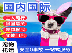 包头东河机场邮寄国际宠物托运 【国